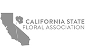 csfa-logo
